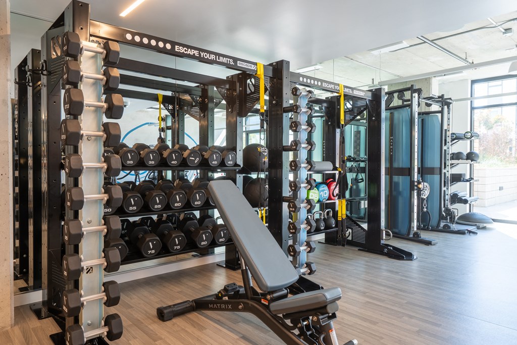 a fully equipped fitness room with weights and cardio equipment
