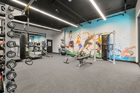 a large fitness room with a mural on the wall a large fitness room with a mural on the wall
