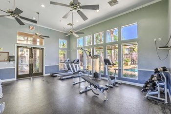 gym - Photo Gallery 6