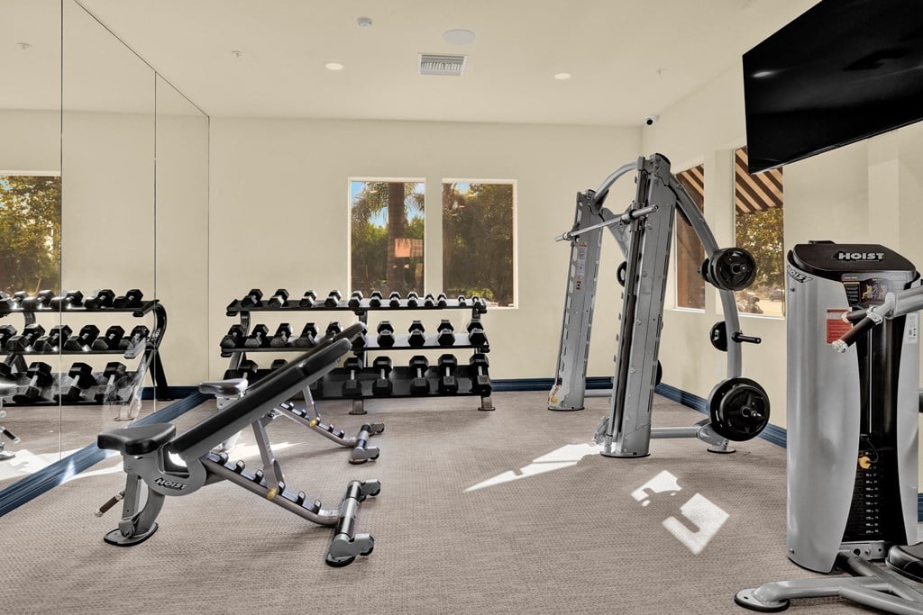 a gym with weights and other exercise equipment in a building