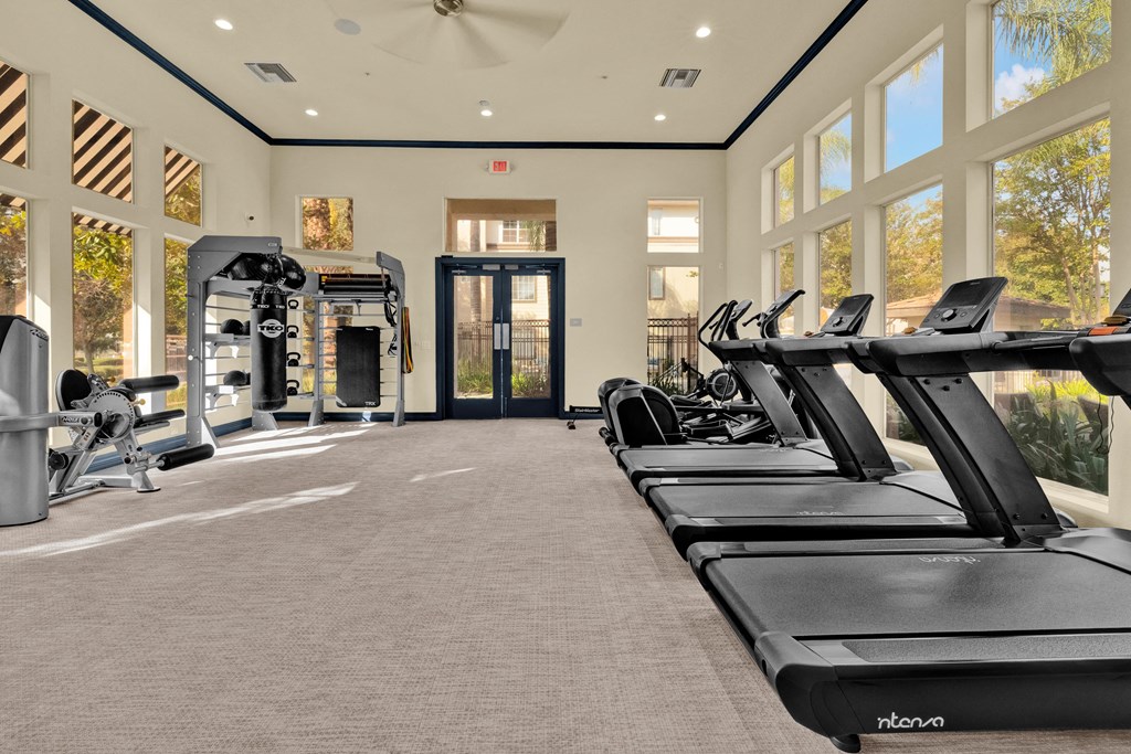 the gym is equipped with treadmills and other fitness equipment