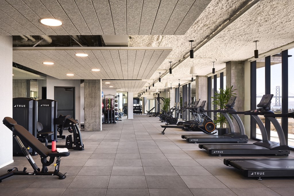 a gym with weights and other exercise equipment in a room with windows