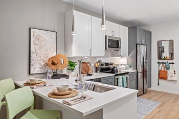 215 East State Street Studio-2 Beds Apartment for Rent - Photo Gallery 2