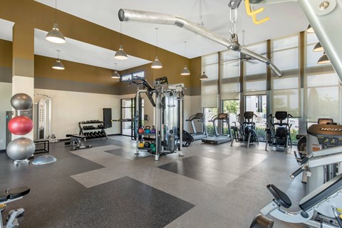 A gym with a variety of equipment including treadmills, weights, and exercise machines.
