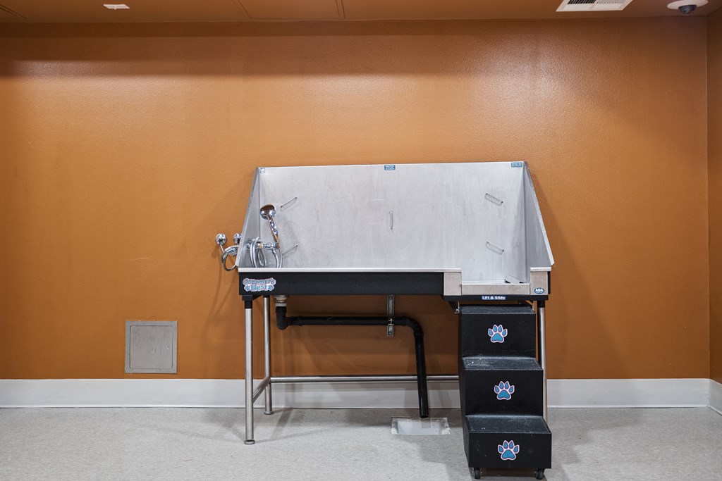 a sink in the middle of a room with an orange wall