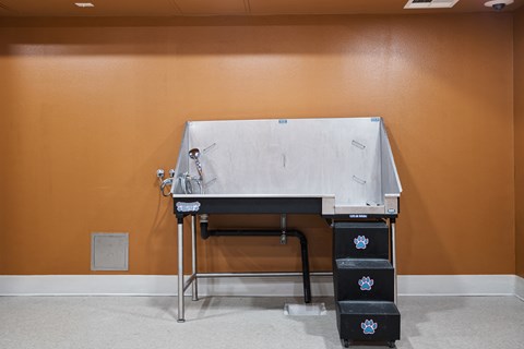 a sink in the middle of a room with an orange wall