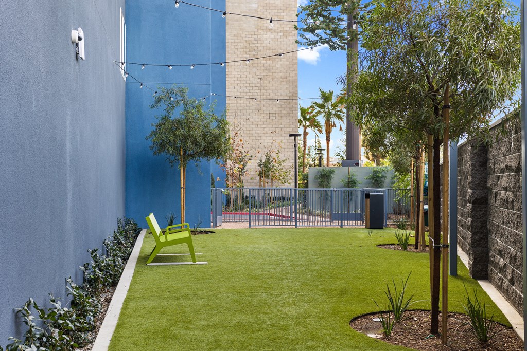 a yard with green grass and chairs next to a blue wall