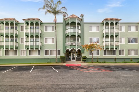 A green apartment building with a palm tree in front.