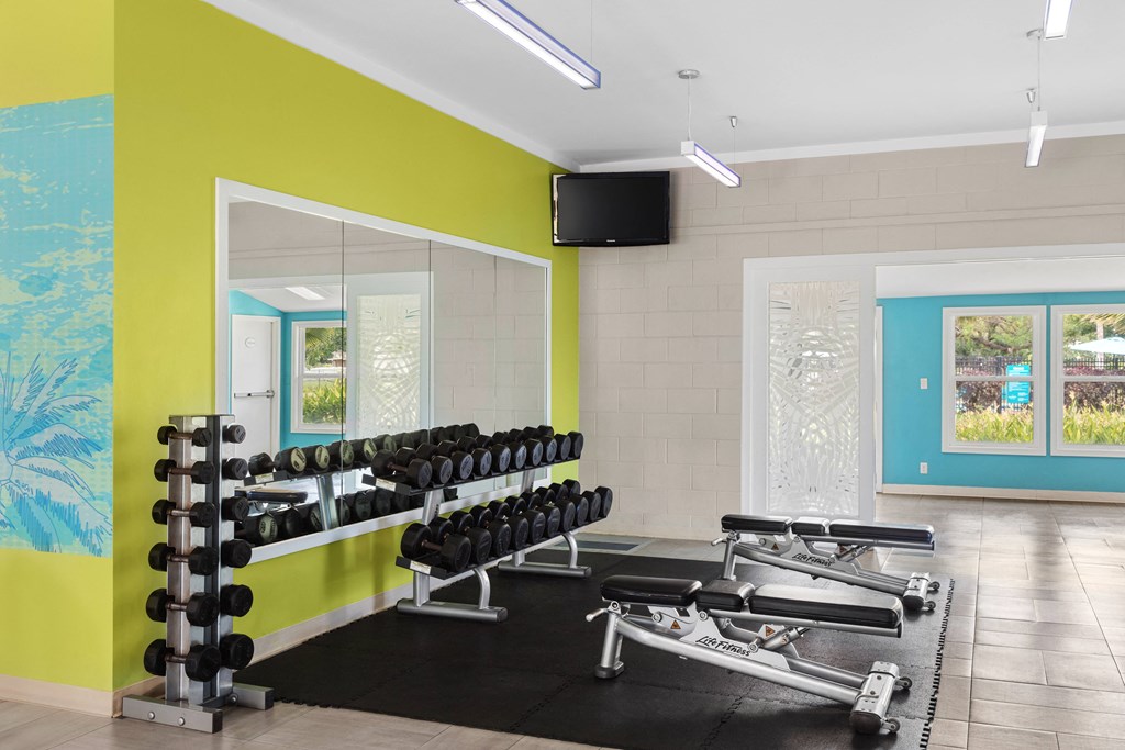 fitness area. free weights and benches. large mirror. tv mounted in the corner.