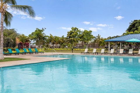 large pool. Lounge furniture surrounding.  palm trees.