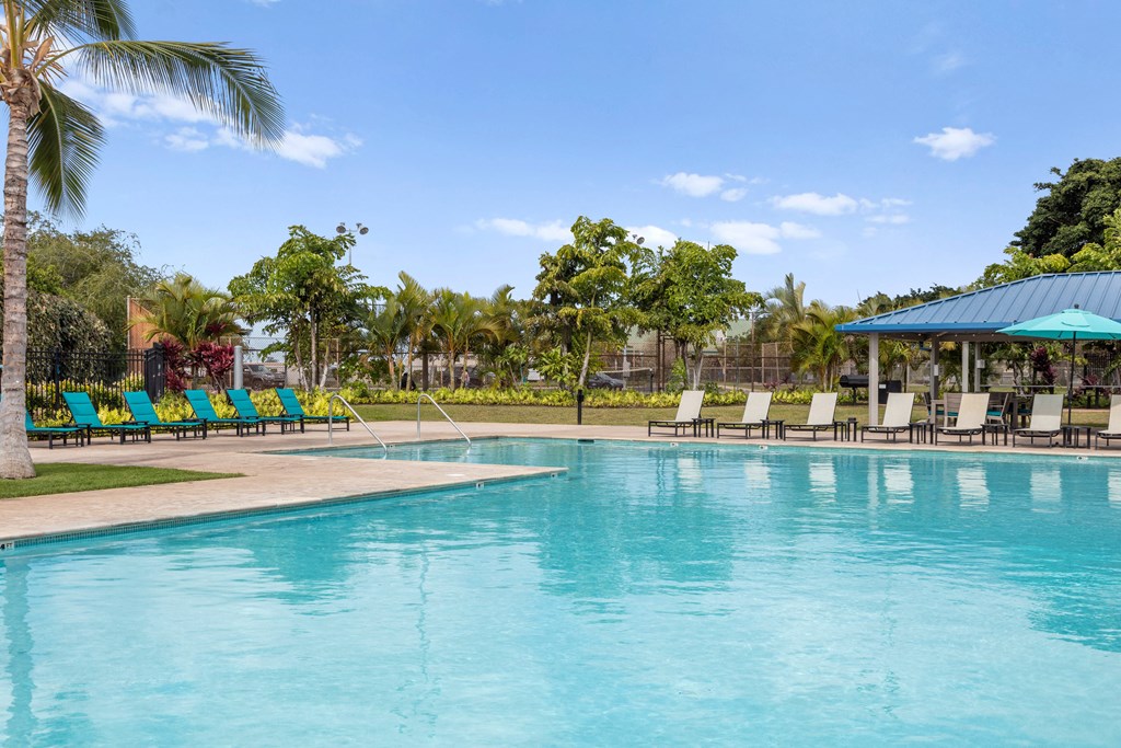 pool large pool. Lounge furniture surrounding. palm trees.