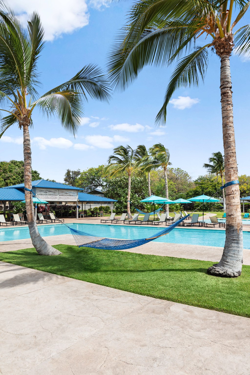 pool area showing hammock between 2 palm trees