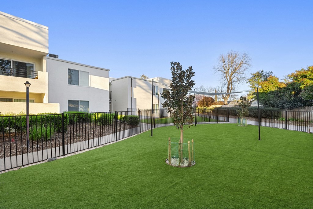 the preserve at ballantyne commons yard with grass and fence
