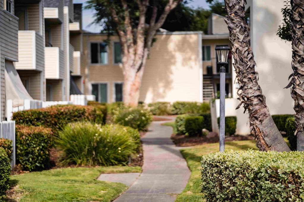 a walkway with trees and bushes in front of an apartment complex