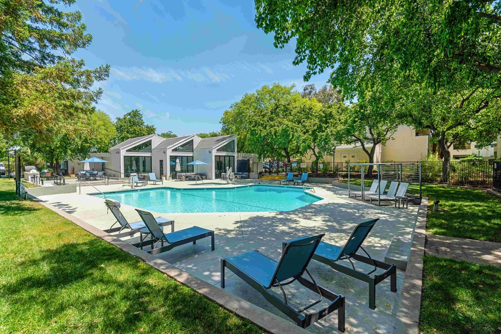 our apartments showcase a swimming pool