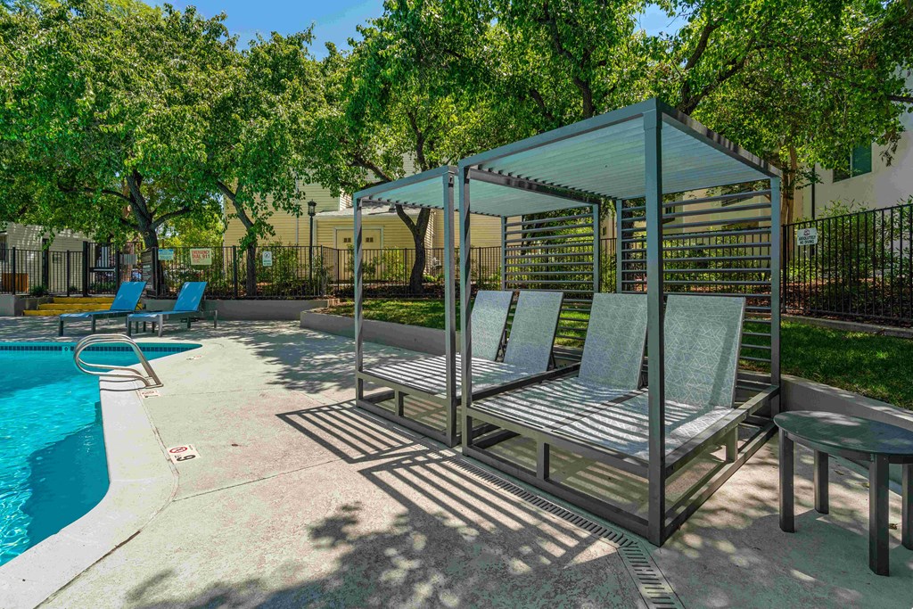 our apartments showcase a swimming pool