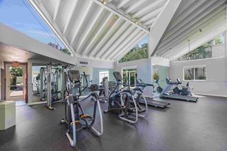 a gym with cardio equipment and windows - Photo Gallery