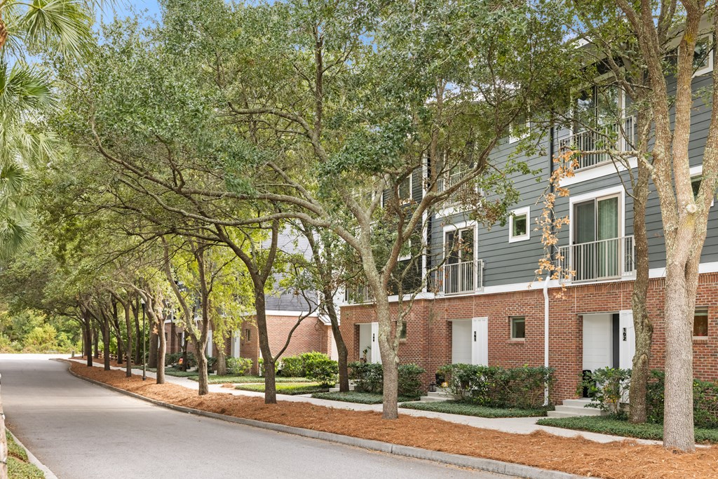 a tree lined street in front of a building