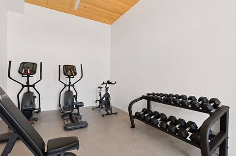 A gym with a bench, weights, and exercise equipment.