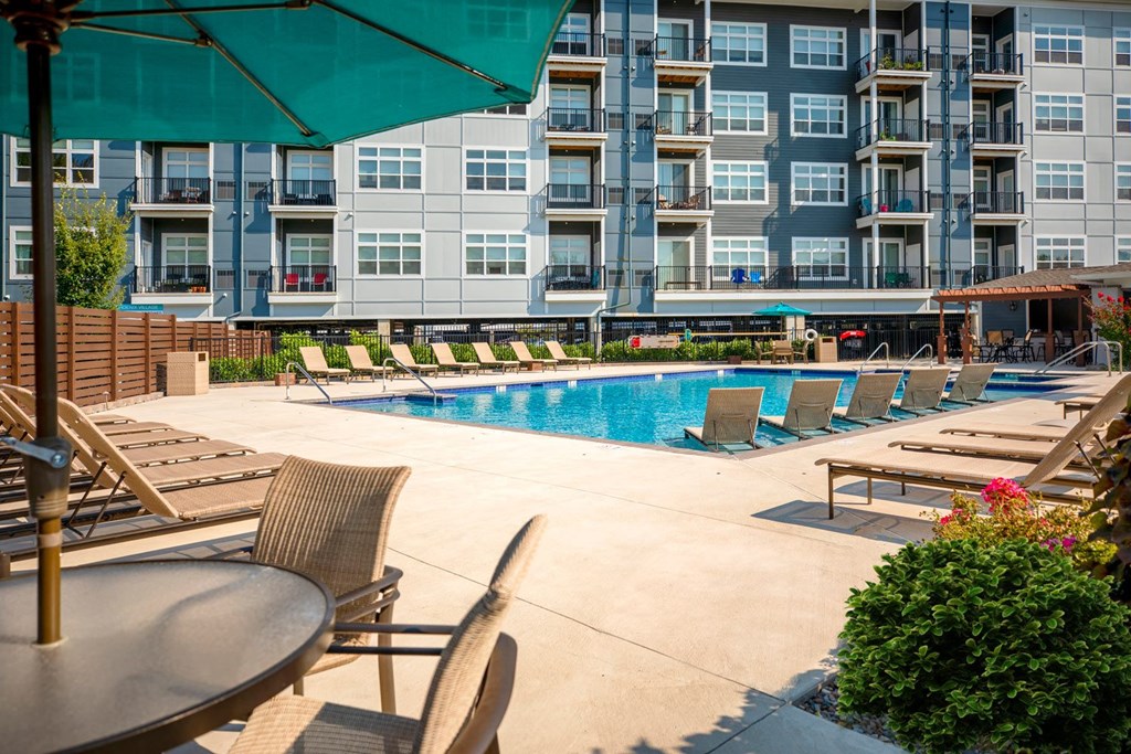 pool and lounge area