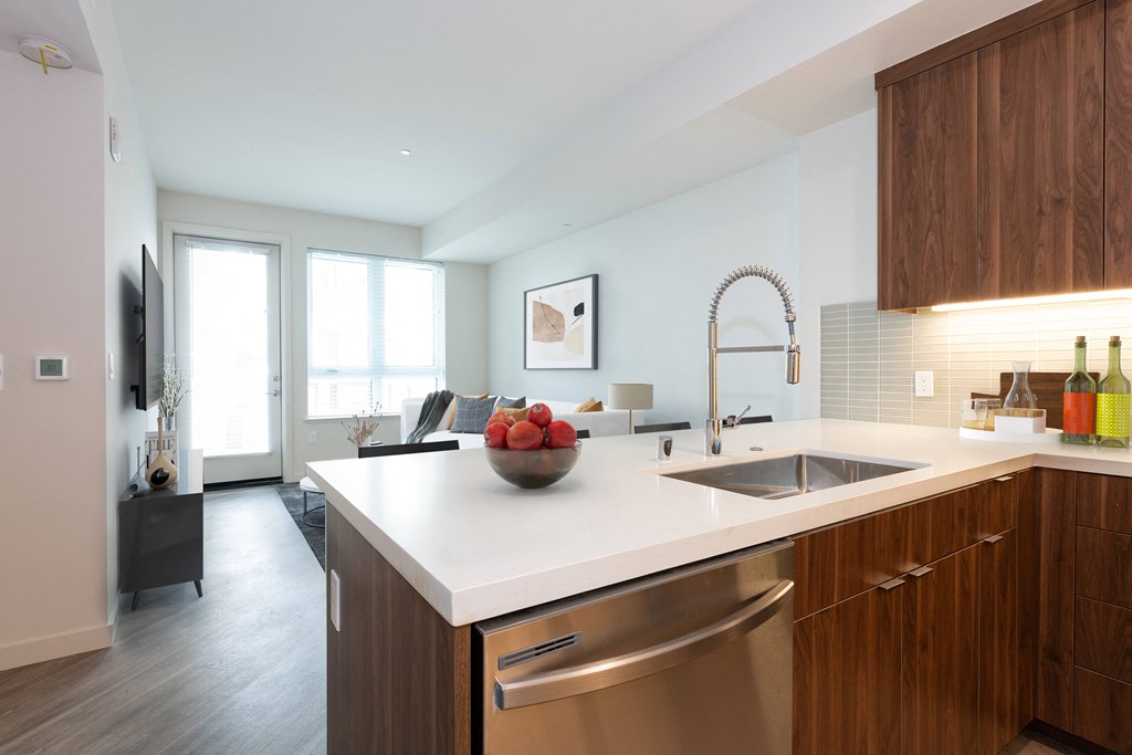 a kitchen with a sink and a dishwasher in a 555 waverly unit