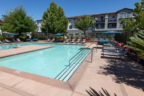 expansive pool with surrounding lounge chairs and umbrellas
