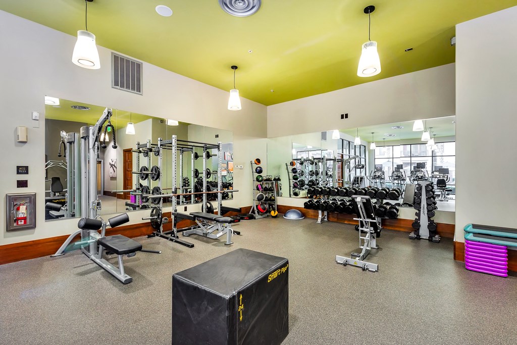 the gym at the flats at big tex apartments