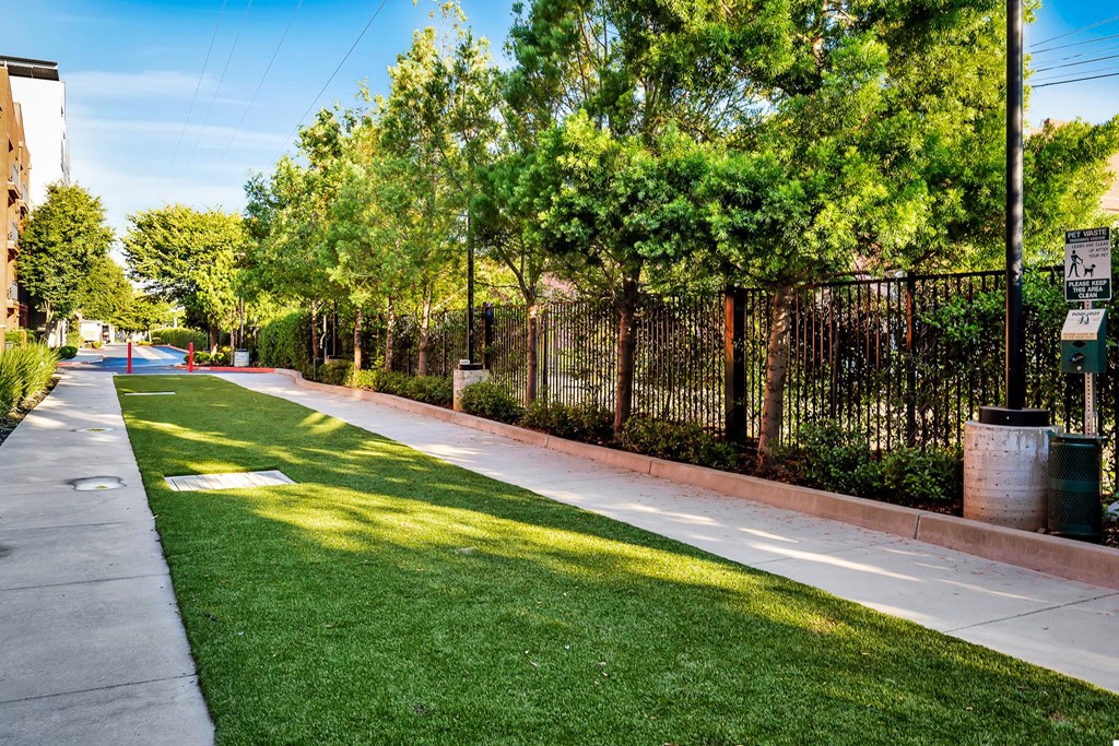 a sidewalk in a park with trees and a fence