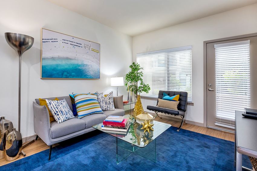 3111 S Street Studio-2 Beds Apartment for Rent - Photo Gallery