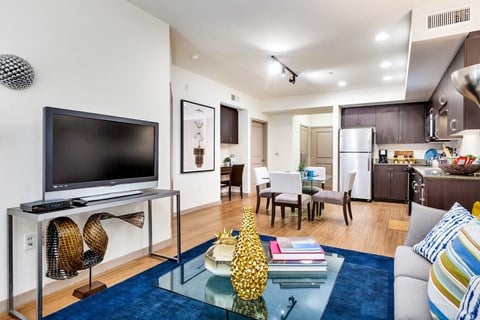 a living room with a television and a blue rug