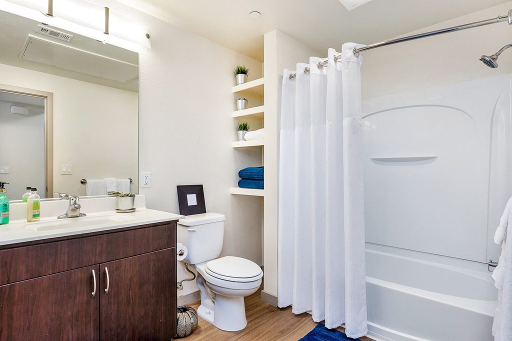 a bathroom with a shower and a sink and a toilet
