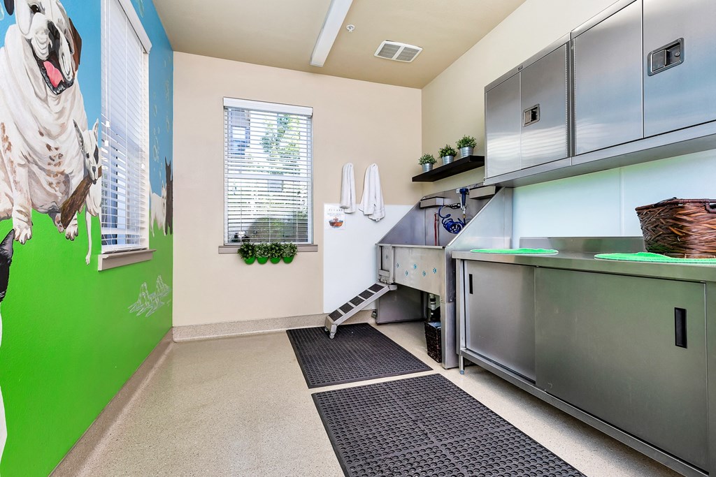 a kitchen with stainless steel appliances and a green wall