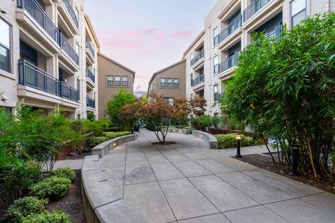 A courtyard surrounded by apartment buildings with a concrete floor and a tree in the middle.