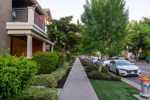 A white car is parked on the side of a street.