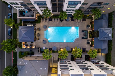 A swimming pool is surrounded by lounge chairs and palm trees.