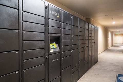 A row of black lockers with the word LUXE on the top.