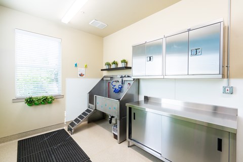 A clean, empty medical or laboratory room with a sink and cabinets.
