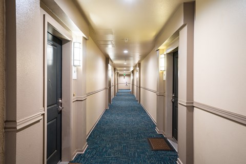 A long hallway with doors on both sides and a carpet on the floor.