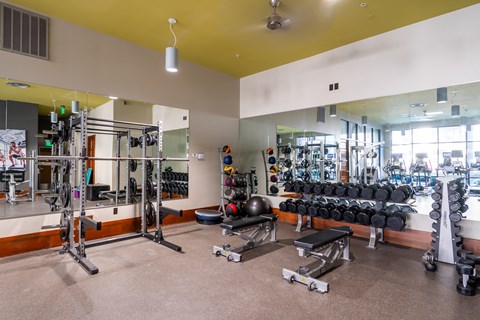 A gym with a variety of equipment including weights and weight machines.