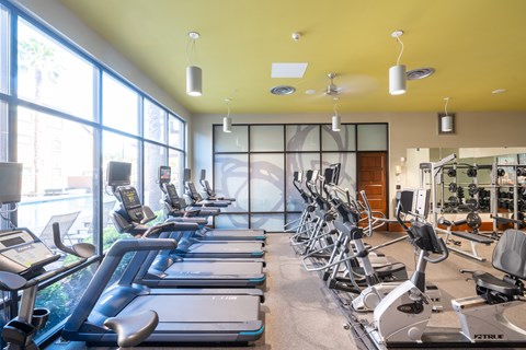 A gym with treadmills and exercise equipment.