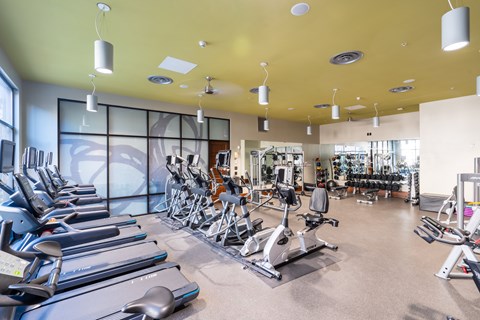 A gym with treadmills, exercise bikes, and other equipment.