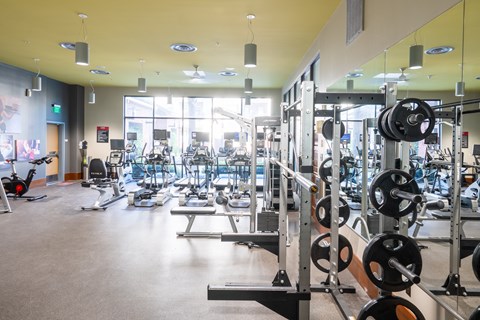 A gym with a variety of equipment including weights and treadmills.