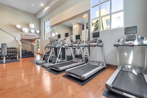 A gym with treadmills and elliptical machines.