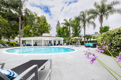 take a dip in our resort style swimming pool