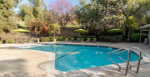 A swimming pool surrounded by trees and umbrellas.
