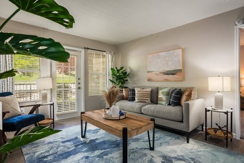 a living room with a gray couch and a blue rug at Odyssey Ridge, Albuquerque, NM, 87114