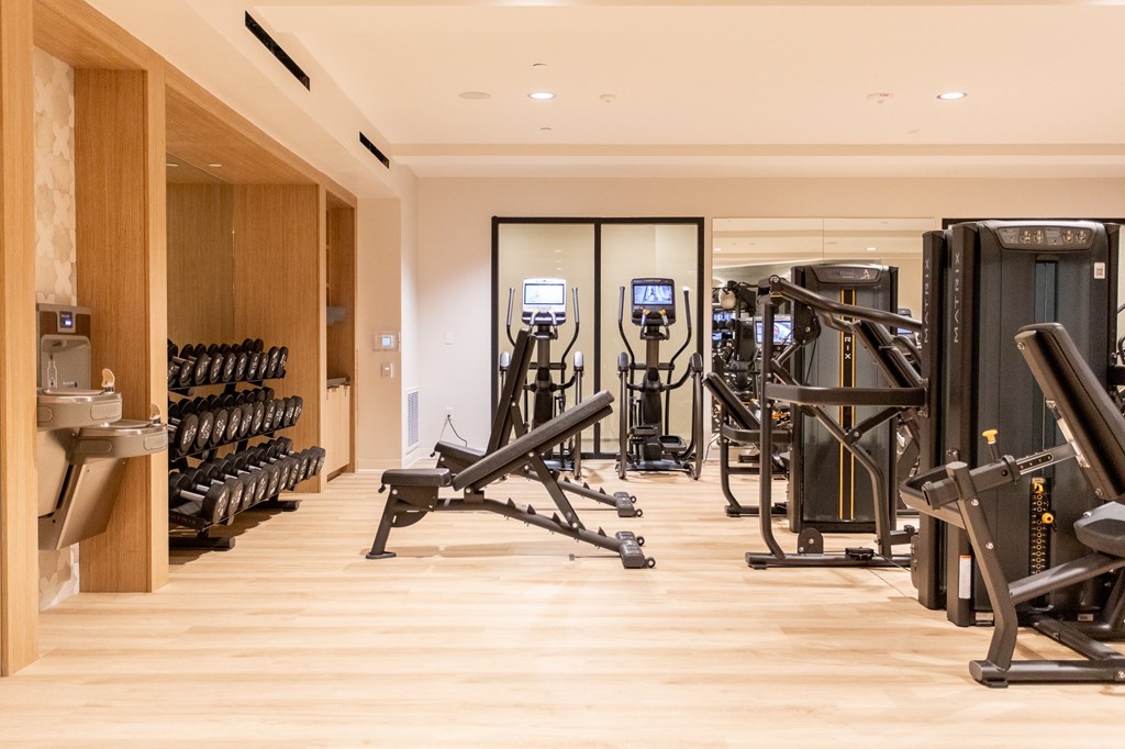 A gym with a variety of equipment including weights and cardio machines.