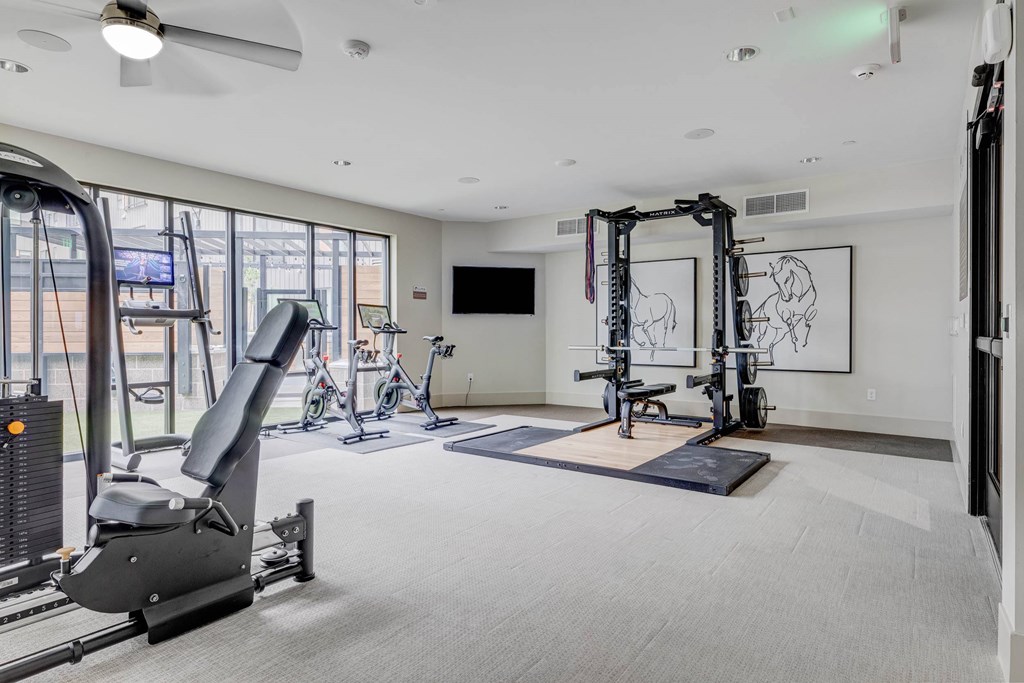 A spacious gym with a variety of equipment including a treadmill, a stationary bike, a rowing machine, and a bench press.