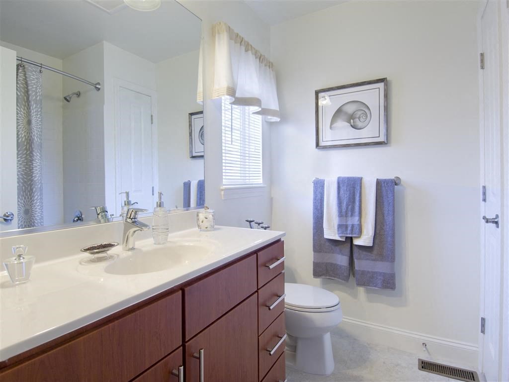 Upgraded Bathroom Fixtures at The Preserve at Cohasset, Cohasset, MA, 02025