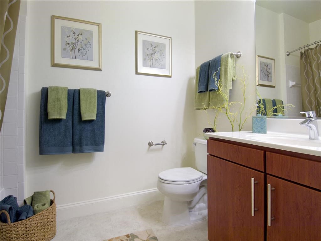 Luxurious Bathroom at The Preserve at Cohasset, Massachusetts